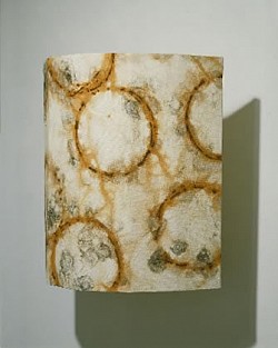  Bernoulli's Song, 1996, rust-stained canvas, wood, 24 1/2