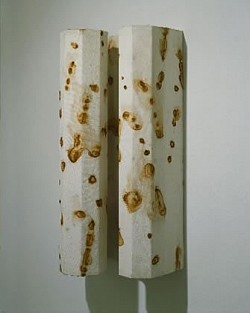 Purdah, 1996, rust-stained canvas over wood, 21 3/4