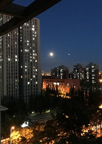 Evening Lights, 2021