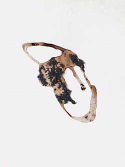 XY-Stirrup, 2021. Pu’er Tea on watercolor paper [Cut-Out Collage] (9 x 12 inches) $500