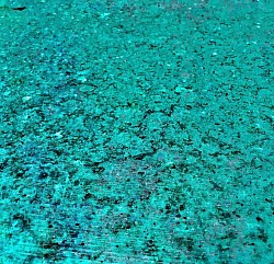 Shallows I, 2022  ($250)