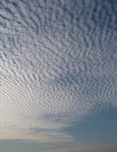 Cloud-Dunes, 2010