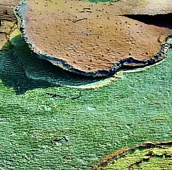 Inner Straits I, 2022 ($250)