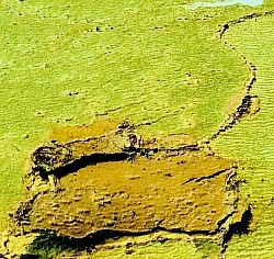 Coastal Terrain, 2022 ($250)