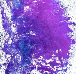 Cerebellum I, 2022  ($250)