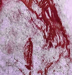 Assisi Tree, 2021  ($250)