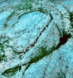 Compass Rock, 2022 ($250)