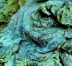 Embrace II, 2022 ($250)