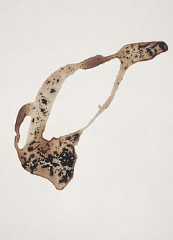 Parabola, 2021  ($500)