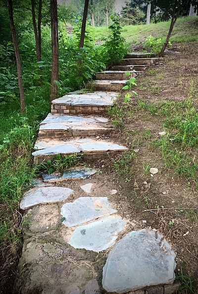 Uphill Path, 2023