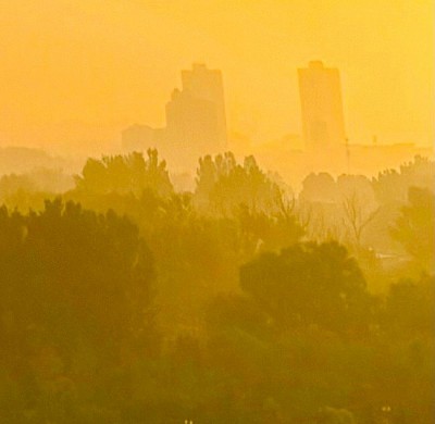 Summer Dawn, 2024