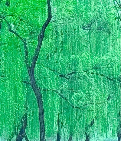Willow Trees, 2025