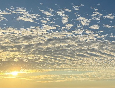 Sunset, 2025