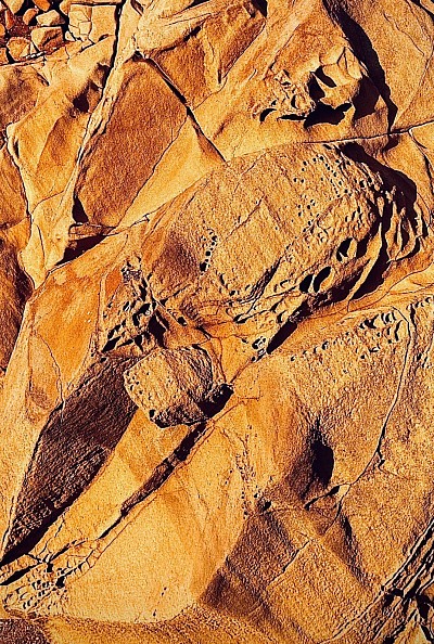 Cambria Bluffs, 2025