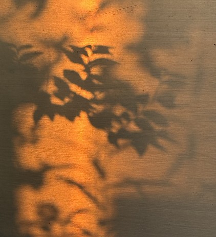 Summer Light, 2026