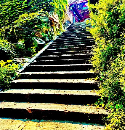 Steps, 2024